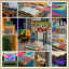 لغة الألوان في فعاليتك - The Language of Color in Your Event